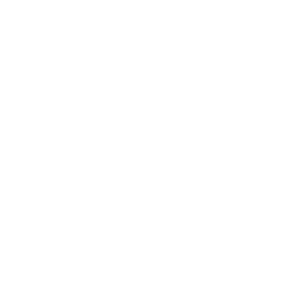 Petek Transport