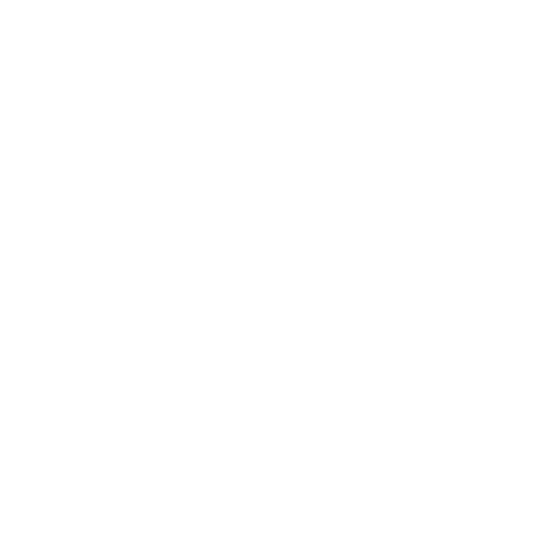 Zumiks Trans